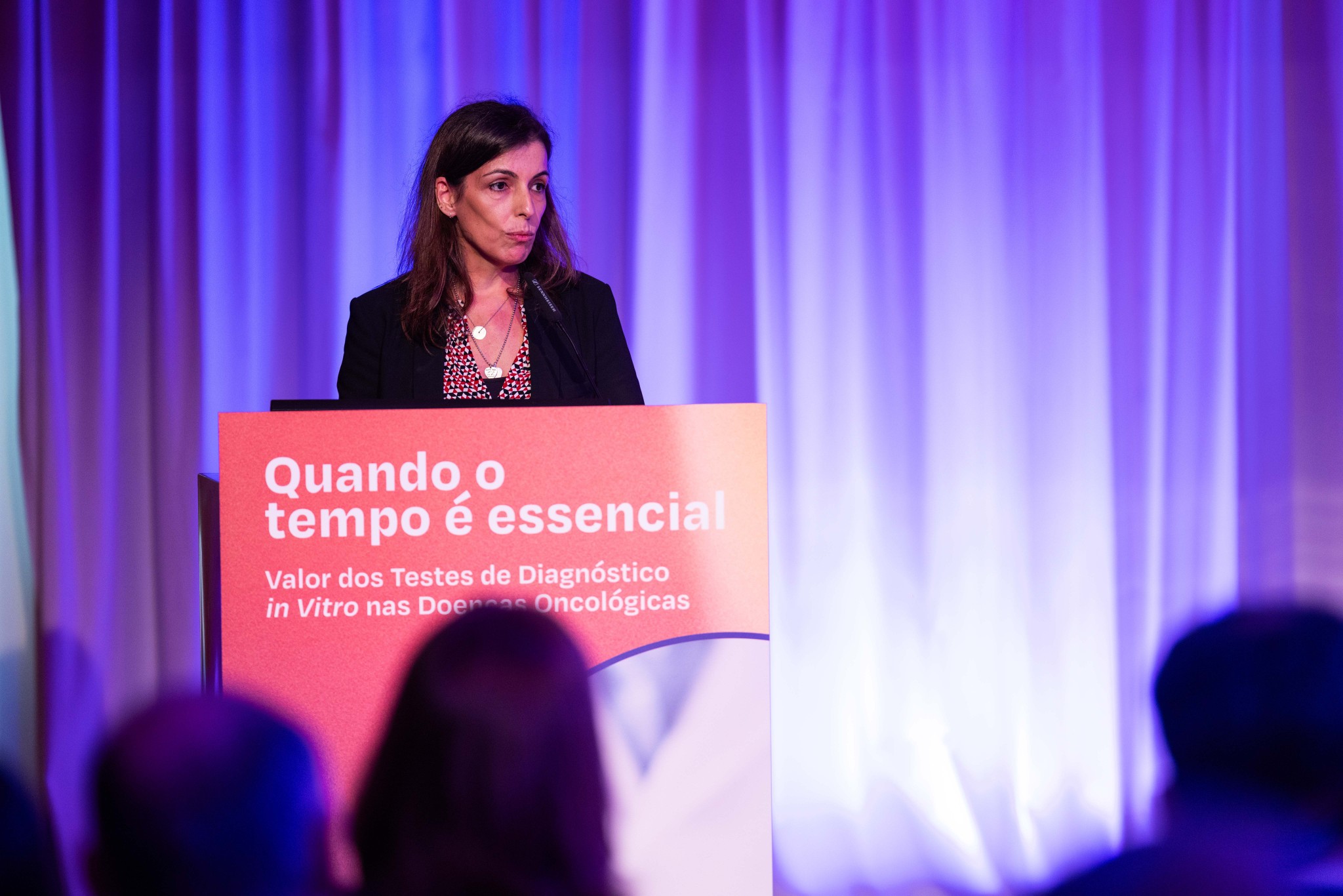 Erica Viegas na conferência 